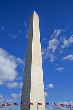 Washington Monument with American flags below, Washington D.C., United States of America, North America