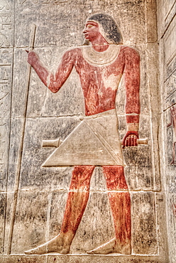 Reliefs, Mastaba of Kagemni, Necropolis of Saqqara, UNESCO World Heritage Site, Saqqara, Egypt, North Africa, Africa