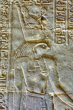 The God Horus, Bas Relief, Sanctuary of Horus, Temple of Horus, Edfu, Egypt, North Africa, Africa