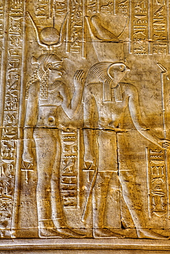 Goddess Hathor on the left with God Horus on right, Bas Reliefs, Sanctuary of Horus, Temple of Horus, Edfu, Egypt, North Africa, Africa