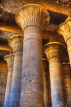 Bas Reliefs, Columns, Hypostyle Hall, Temple of Khnum, Esna, Egypt, North Africa, Africa