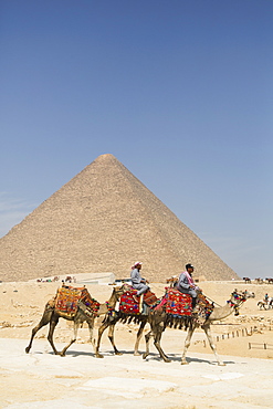 Local men riding camels, Khufu Pyramid in the background, Great Pyramids of Giza, UNESCO World Heritage Site, Giza, Egypt, North Africa, Africa