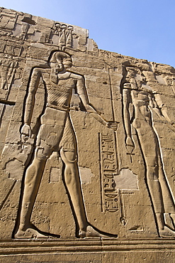 Wall Reliefs, Temple of Sobek and Haroeris, Kom Ombo, Egypt, North Africa, Africa