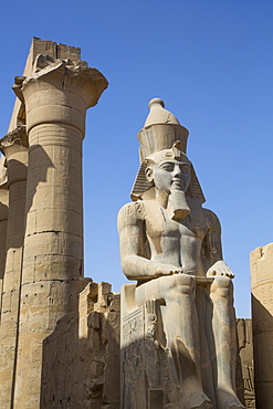 Colossus of Ramses II, Court of Ramses II, Luxor Temple, UNESCO World Heritage Site, Luxor, Thebes, Egypt, North Africa, Africa