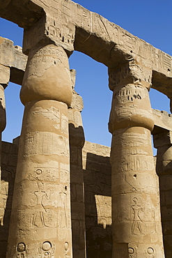 Columns in the Court of Ramses II, Luxor Temple, UNESCO World Heritage Site, Luxor, Thebes, Egypt, North Africa, Africa