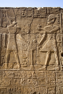 Pharaoh on right, God Amun on the left, Bas Relief, Luxor Temple, UNESCO World Heritage Site, Luxor, Thebes, Egypt, North Africa, Africa