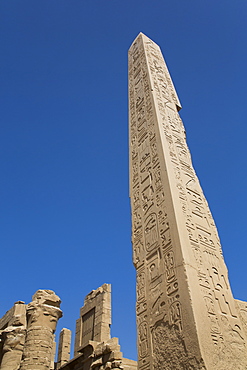 Obelisk of Hatshepsut, Karnak Temple Complex, UNESCO World Heritage Site, Luxor, Thebes, Egypt, North Africa, Africa