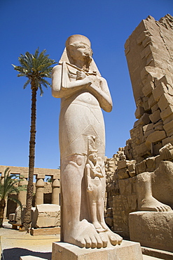 Statue of Ramses II, Great Court, Karnak Temple Complex, UNESCO World Heritage Site, Luxor, Thebes, Egypt, North Africa, Africa