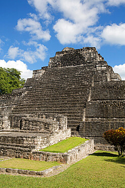 Temple 1, Mayan Site, Chacchoben Archaeological Zone, Chacchoben, Quintana Roo State, Mexico, North America