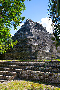 Temple 24, Mayan Site, Chacchoben Archaeological Zone, Chacchoben, Quintana Roo State, Mexico, North America