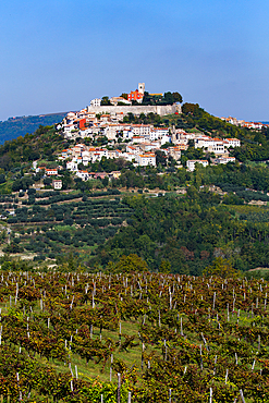 Long distance view, Motovun, Croatia, Europe