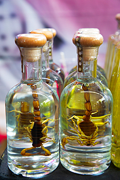 Bottles of Mezcal with Scorpions inside, Zocolo Market, Cholula, Puebla State, Mexico, North America