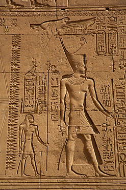 Pharaoh, Exterior Reliefs, Temple of Hathor, Dendera, Qena, Egypt, North Africa, Africa