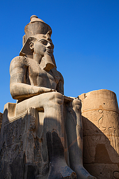 Statue of Rameses II, Courtyard of Rameses II, Luxor Temple, UNESCO World Heritage Site, Luxor, Egypt, North Africa, Africa