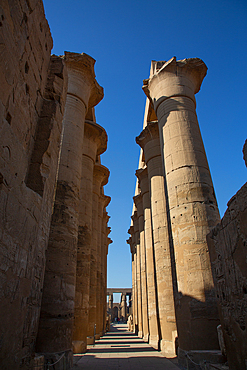 Colonnade of Amenhotep III, Luxor Temple, UNESCO World Heritage Site, Luxor, Egypt, North Africa, Africa