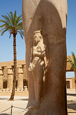 Statue of Nefertari at Base of Statue of Rameses II, Karnak Temple Complex, UNESCO World Heritage Site, Luxor, Egypt, North Africa, Africa