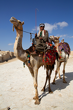 Man and Camel, Giza Pyramid Complex, UNESCO World Heritage Site, Giza, Egypt, North Africa, Africa