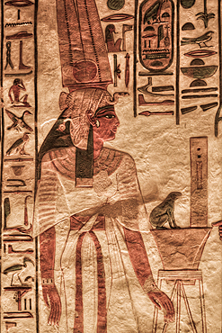 Image of Nefertari, Paintings and Relief, Tomb of Nefertari, QV66, Valley of the Queens, Ancient Thebes, UNESCO World Heritage Site, Luxor, Egypt, North Africa, Africa