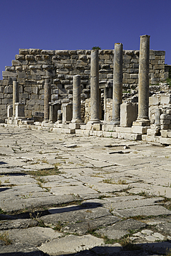 Marble Columns, Harbor Street, Patara Ancient City (origins back to 5,500 BC), Patara National Park, Antalya, Turkey