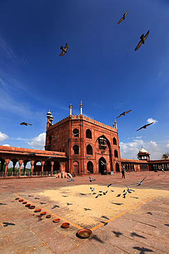 The Masjid-i-Jehan-Numa, commonly known as the Jama Masjid of Delhi, is one of the largest mosques in India