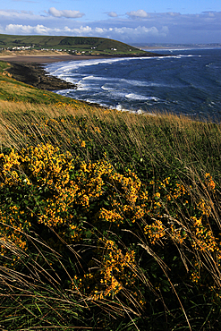 Looking across Croyde Bay from Baggy Point, north Devon, England, United Kingdom, Europe