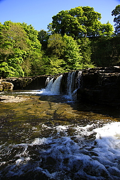 Aysgarth Falls, North Yorkshire, Yorkshire, England, United Kingdom, Europe