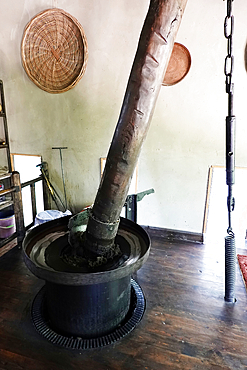 Traditional oil press, Samarkand, Uzbekistan, Central Asia, Asia