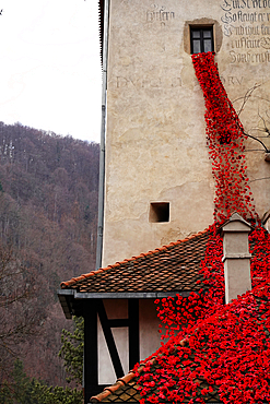 Bran Castle, Bran, near Brasov, Transylvania. The castle was built by Saxons in 1377 who were given the privilege by Louis I of Hungary. It is a national monument and landmark in Transylvania and famous for its association with the Dracula story.