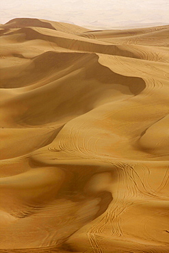 Sand dunes, Dubai, United Arab Emirates, Middle East