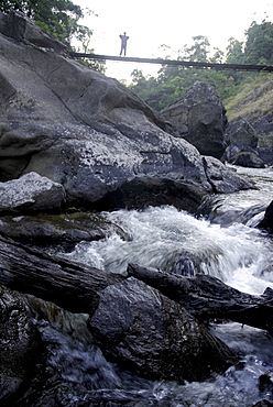 Trek path to Kunthipuzha, Silent Valley National Park, Palakkad District, Kerala, India, Asia