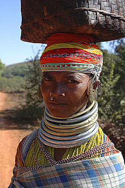 Bonda tribeswoman in traditional dress with beads, earrings and necklaces denoting her tribe, carrying shopping from market, Onukudelli, Orissa, India, Asia