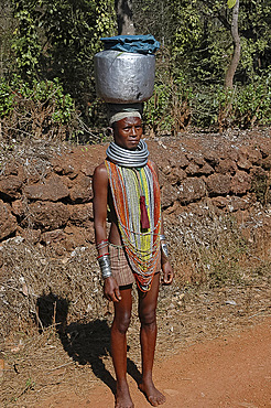 Bonda tribeswoman on her way to market in traditional dress with beads and necklaces denoting her tribe, Onukudelli, Orissa, India, Asia