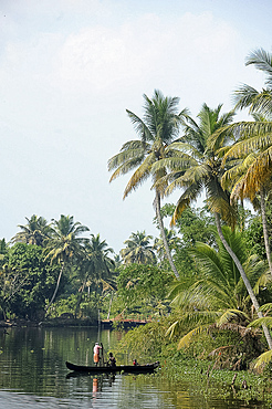 Kerala boatman ferrying local villagers across the backwaters in wooden dugout canoe, Kumarakom, Kerala, India, Asia