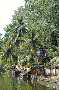 Hindu temple almost concealed behind palm trees on the edge of the backwaters, Kumarakom, Kerala, India, Asia