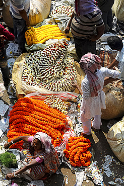 Early morning trading of marigold garland ropes, Malik Ghat flower market, Kolkata, West Bengal, India, Asia