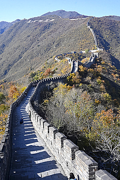 Great Wall of China, Mutianyu section, looking west towards Jiankou, UNESCO World Heritage Site, Beijing, China, Asia