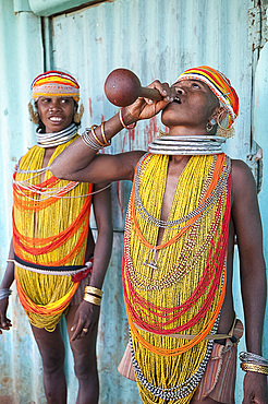 Two Bonda tribeswomen wearing traditional beads with beaded caps and metal necklaces drinking village alcohol from gourd vessel, Rayagader, Orissa, India, Asia