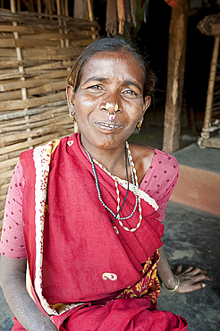 Desia Kondh tribal woman wearing traditional gold noserings and earrings, Bissam Cuttack, Orissa, India, Asia