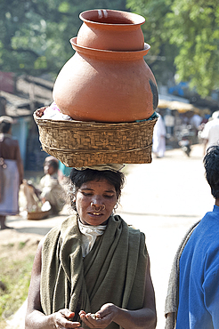 Dunguria Kondh woman with tribal noserings carrying terracotta pots in a basket on her head, Bissam Cuttack, Orissa, India, Asia