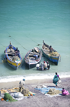 Unloading the morning's catch of fish, Dhanushkodi, Tamil Nadu, India, Asia