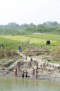 Men on the banks of the River Hugli (River Hooghly) after early morning puja, near village ricefields and banana paddy fields, rural West Bengal, India, Asia