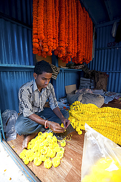 Mala maker (garland maker) at work with orange and yellow marigolds in morning flower market, Howrah, Kolkata, West Bengal, India, Asia