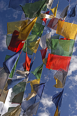 Budhhist prayer flags fluttering in the wind, Darjeeling, West Bengal, India, Asia