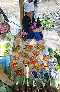 Naga woman at her market stall selling a selection of different chillies, Tizit market, Nagaland, India, Asia