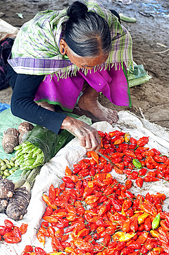 Naga woman sorting red hot chillies with a stick on her market stall in Tizit village local market, Nagaland, India, Asia