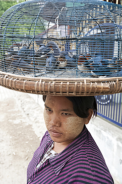 Woman with thanaka on her cheeks and trapped birds in a basket on her head, asking for people to pay to set them free, Mandalay, Myanmar (Burma), Asia