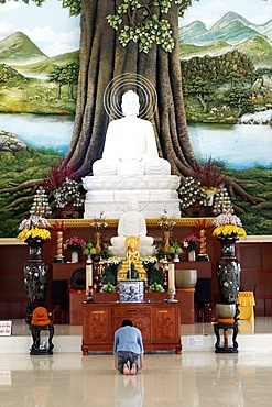 Van Linh Buddhist pagoda, man praying to the Buddha, the Enlightenment of the Buddha statue, An Hao, Vietnam, Indochina, Southeast Asia, Asia