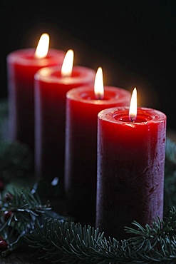 Natural Advent wreath or crown with four burning red candles, Christmas composition, France, Europe