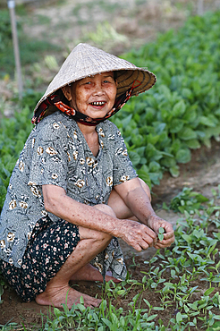 Farmer at work, agriculture, organic vegetable gardens in Tra Que Village, Hoi An, Vietnam, Indochina, Southeast Asia, Asia