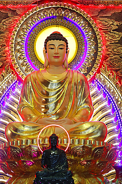 The Enlightenment of the Buddha, main altar with golden Buddha statue, Phat Ngoc Xa Loi Buddhist temple, Vinh Long, Vietnam, Indochina, Southeast Asia, Asia